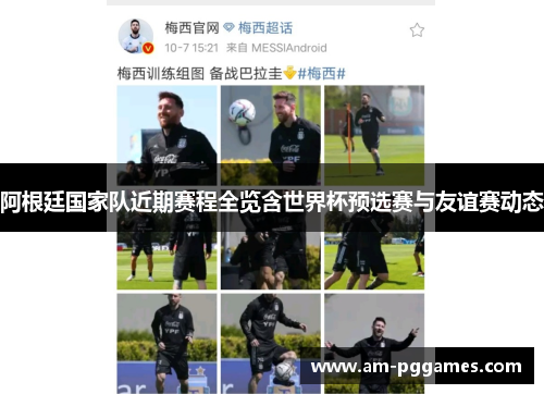 阿根廷国家队近期赛程全览含世界杯预选赛与友谊赛动态